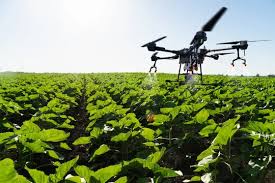 Kenyan youth agri training